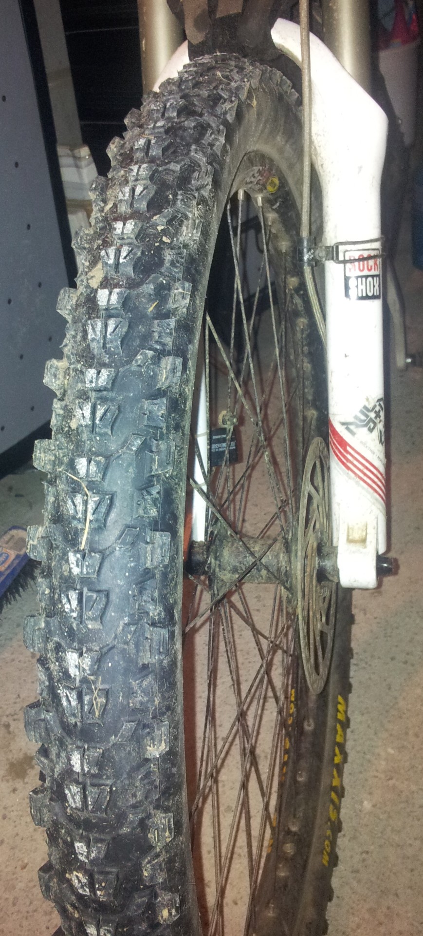 modified ardent