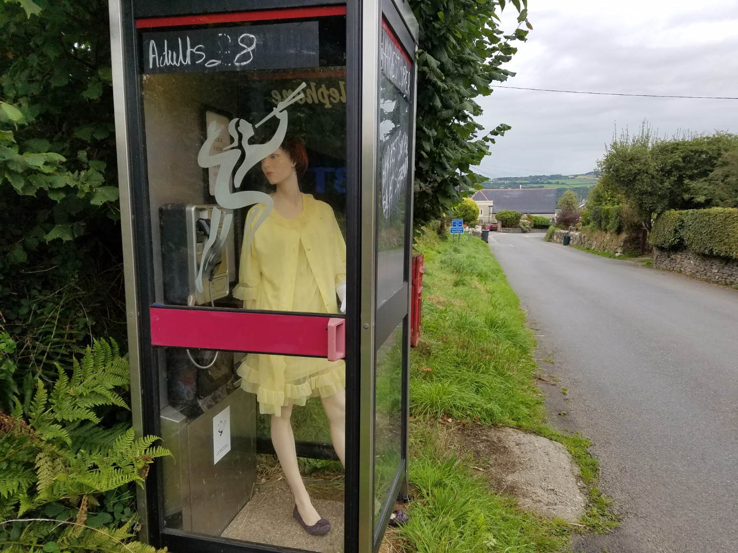 ALT TEXT
